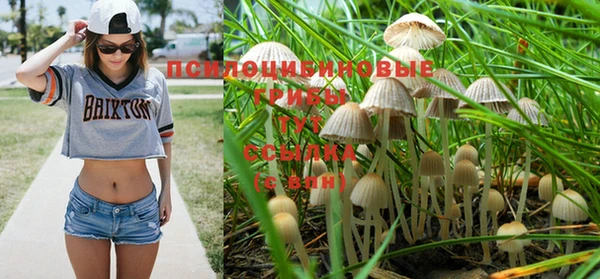 амф Арсеньев
