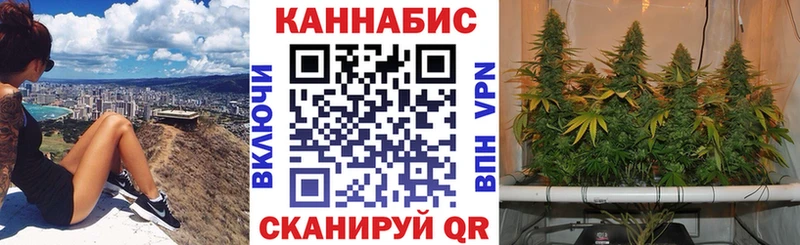 дарнет шоп  Сосногорск  Канабис AK-47 